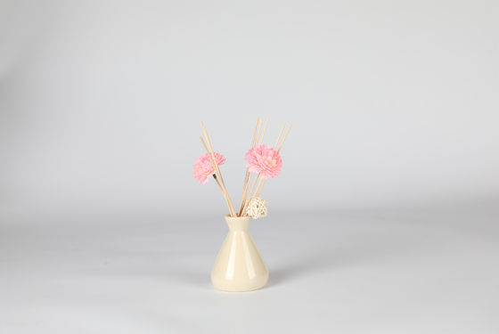 Decorative Non Toxic Reed Diffuser