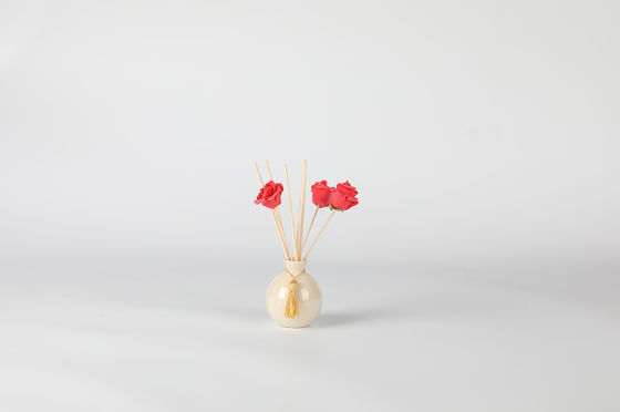 Parfüm-Duft-Geschenk des Diffusor-100ml stellt 14x8x12.3cm ein